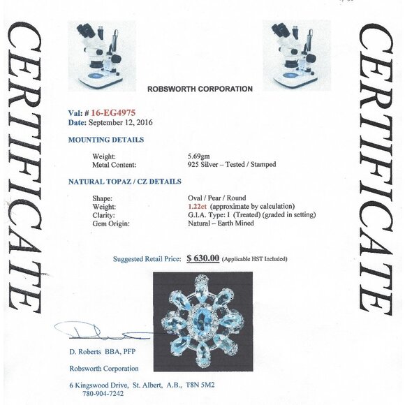 .925 Sterling Silver Snowflake Blue Topaz & Cubic Zirconia Ring Sz 6 Value $630 - Picture 5 of 7